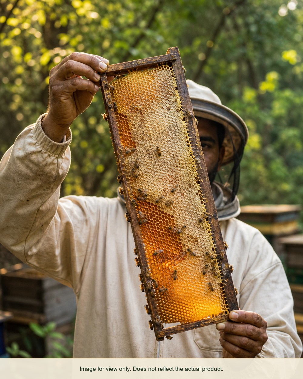 Beekeeper holding a honeycomb frame